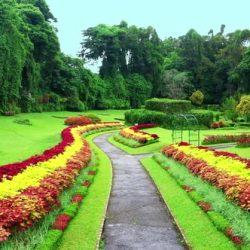 Botanical Garden Kandy