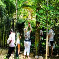 spice garden